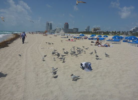 florida/miami/south-beach/attraction/discovery-miami-beach