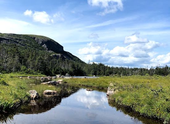 canada/avalon-peninsula/attraction/butter-pot-provincial-park