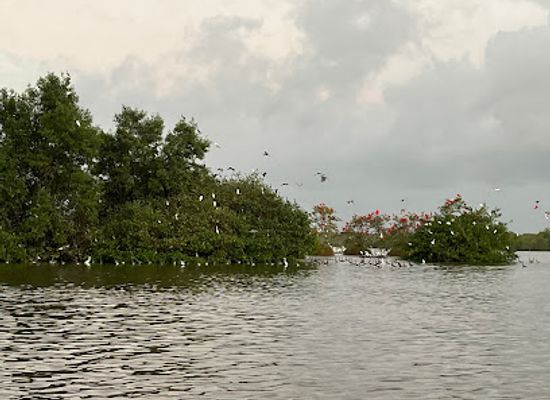 suriname/nickerie-district/attraction/akira-overwater-resort