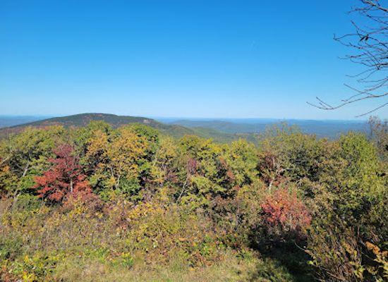 new-hampshire/monadnock-region/attraction/miller-state-park