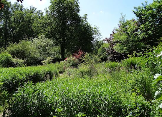 netherlands/gelderland/attraction/vlindertuin-en-meditatieheuvel-arnhem