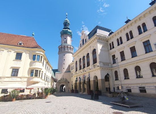 hungary/sopron/attraction/sopron-sign