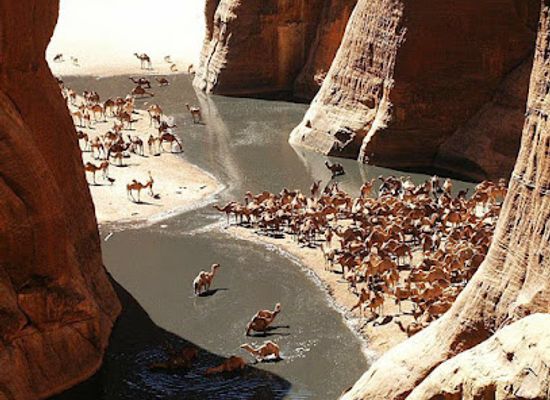 chad/wadi-fira/attraction/guelta-d-archei-lake