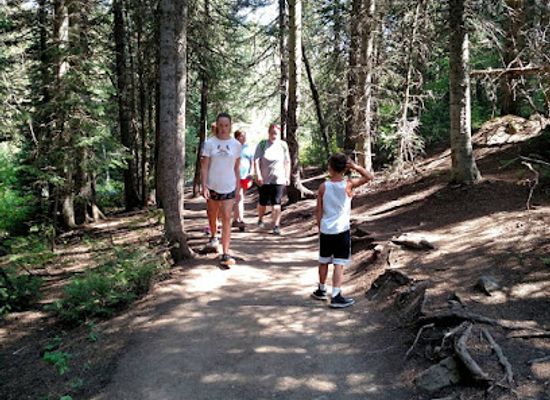 utah/wasatch-front/attraction/donut-falls-summer-trailhead
