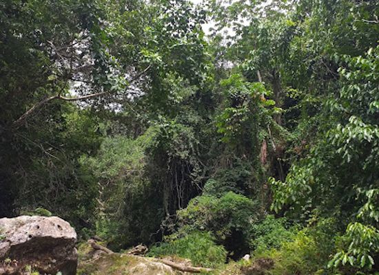 jamaica/runaway-bay-area/attraction/river-rapids-jamaica
