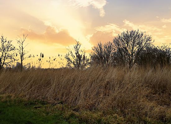 netherlands/ijsselmeer-polders/attraction/witte-zandvlakte