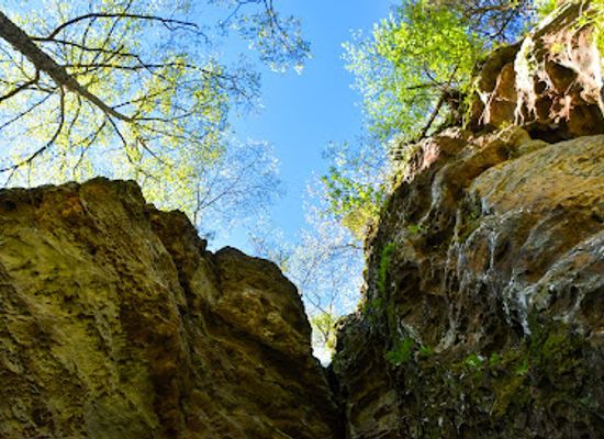 illinois/shawnee-hills/attraction/trillium-trail