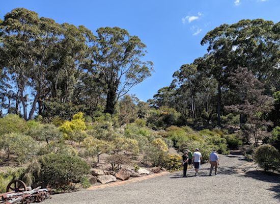 australia/illawarra/attraction/illawarra-grevillea-park