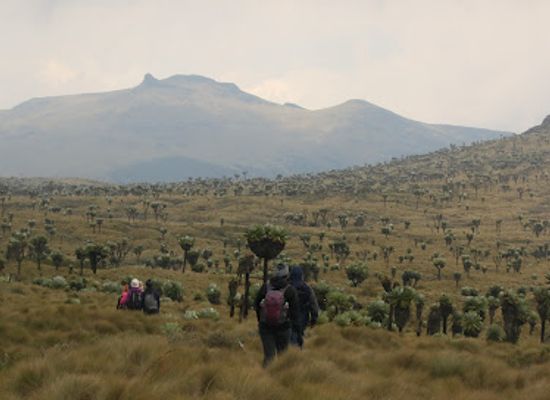 kenya/aberdare-national-park/attraction/rurimueria-aberdares-kenya