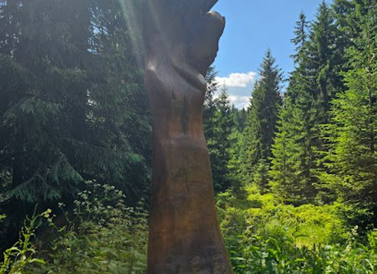 czechia/jizera-mountains/attraction/drevena-socha-ruka-tonouciho