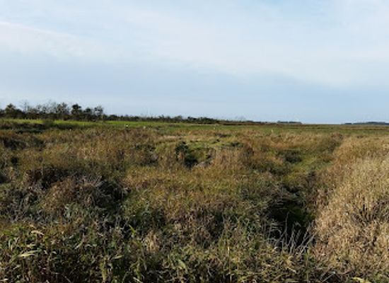 denmark/romo/attraction/langdysserne