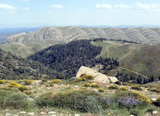 algeria/aures-mountains/attraction/djebel-chelia