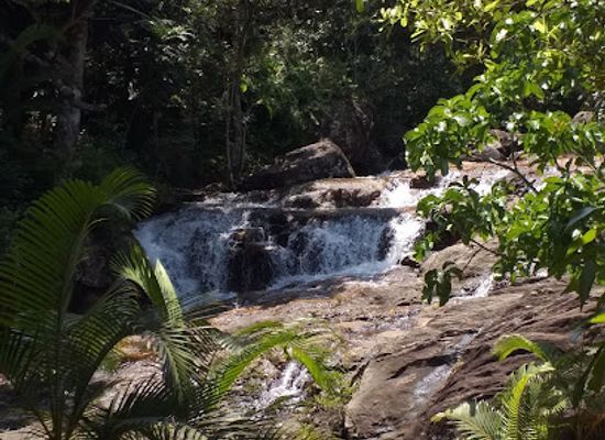madagascar/fort-dauphin/attraction/domaine-de-la-cascade-plantation-lansargues
