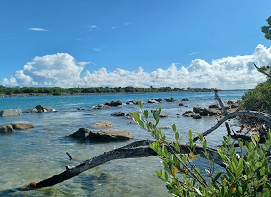 florida/treasure-coast/attraction/sebastian-inlet-state-park