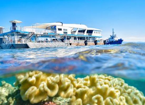 australia/cairns/attraction/reef-magic