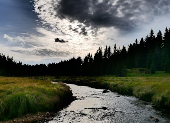 czechia/sumava/attraction/bohemian-forest