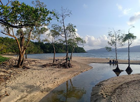 india/andaman-and-nicobar-islands/attraction/chidiya-tapu-beach