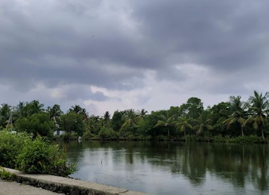 india/kochi/attraction/kumbalangi-kavaru-spot