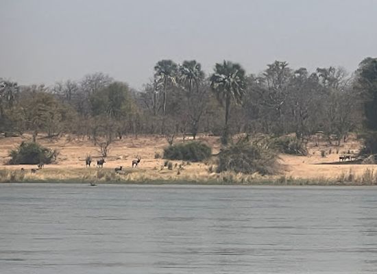 zimbabwe/mana-pools-national-park/attraction/bungwe-islands