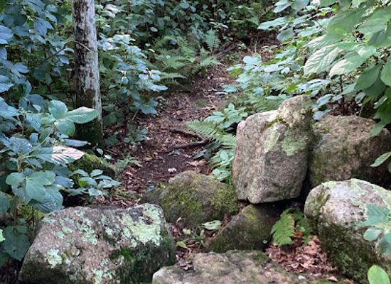 rhode-island/kent-county/attraction/bradner-preserve