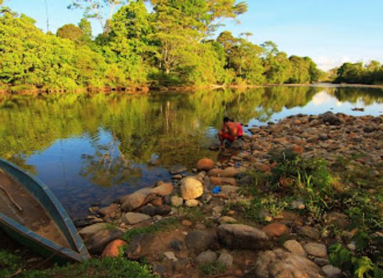 ecuador/napo-region/attraction/suchipakari-amazon-eco-lodge-jungle-spa