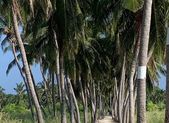 maldives/thoddoo/attraction/vaau-magu