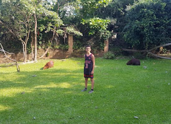 paraguay/yataity/attraction/ykua-pyta-villarrica