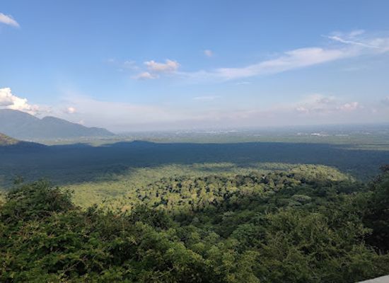 india/south-india/attraction/sathyamangalam-tiger-reserve-erode-tamilnadu-india