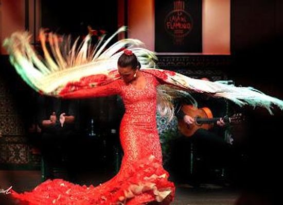 spain/seville/attraction/la-casa-del-flamenco-auditorio-alcantara