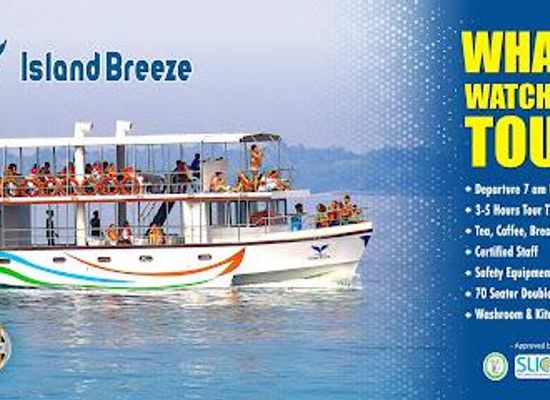 sri-lanka/mirissa/attraction/whale-watching-mirissa
