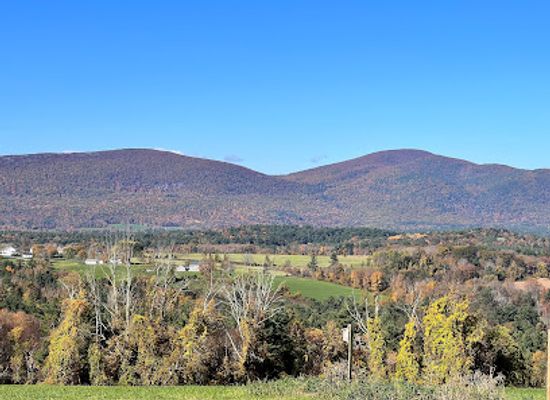 massachusetts/berkshires/attraction/bartholomew-s-cobble-reservation
