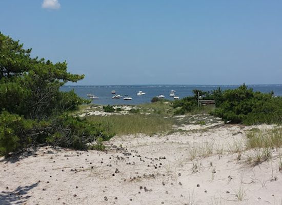 new-york/fire-island/attraction/barrett-beach-park
