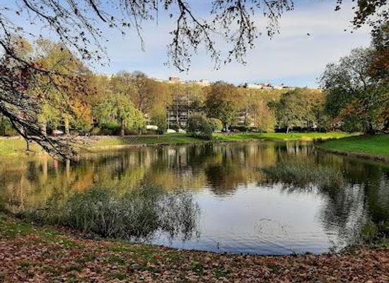 belgium/flemish-ardennes/attraction/stadspark