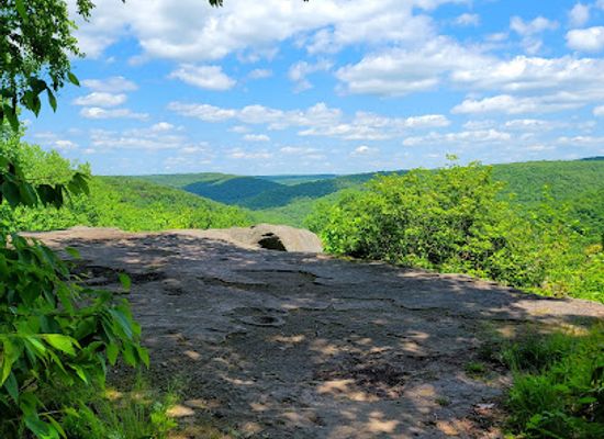 pennsylvania/allegheny-national-forest/attraction/minister-creek-recreation-area