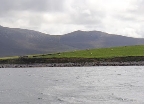 ireland/county-mayo/attraction/westport-sea-safari