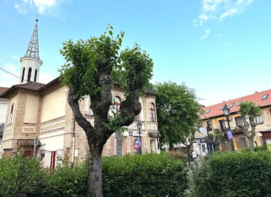 hungary/vac/attraction/vac-belvaros