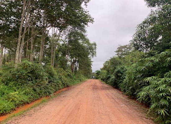 laos/phakse-province/attraction/phou-phanang-national-bio-diversity-conservation-area