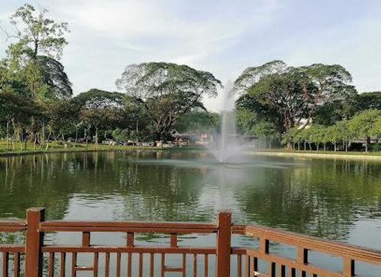 myanmar-burma/yangon/attraction/kandawgyi-natural-garden