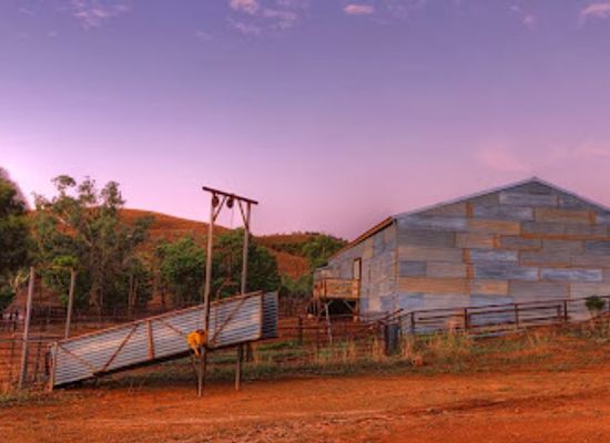 australia/flinders-ranges/attraction/skytrek-willow-springs-station