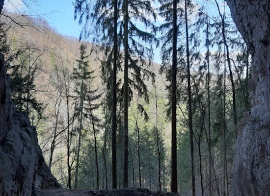czechia/moravian-karst/attraction/knight-s-cave