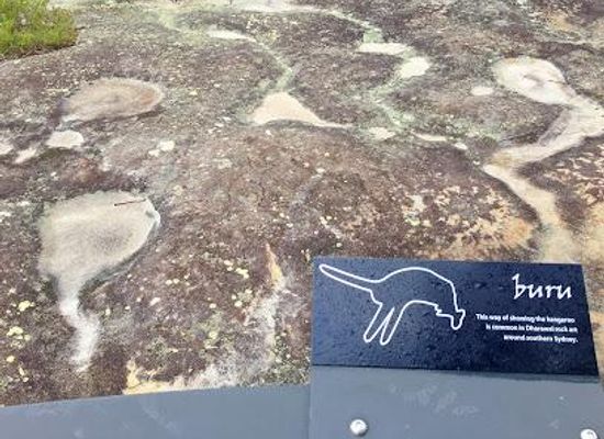 australia/sydney-basin/attraction/jibbon-rock-engravings