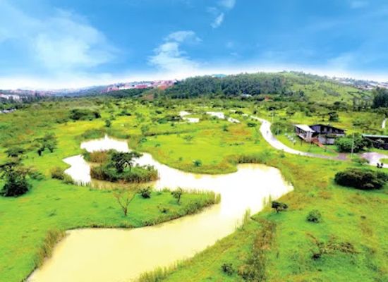 rwanda/cyangugu/attraction/nyandungu-urban-wetland-eco-tourism-park