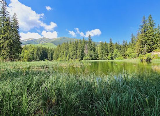 slovakia/low-tatras-national-park/attraction/vrbicke-pleso