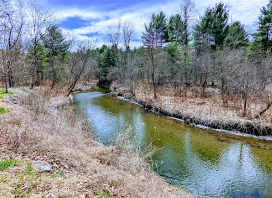 vermont/upper-valley/attraction/mink-brook-nature-preserve