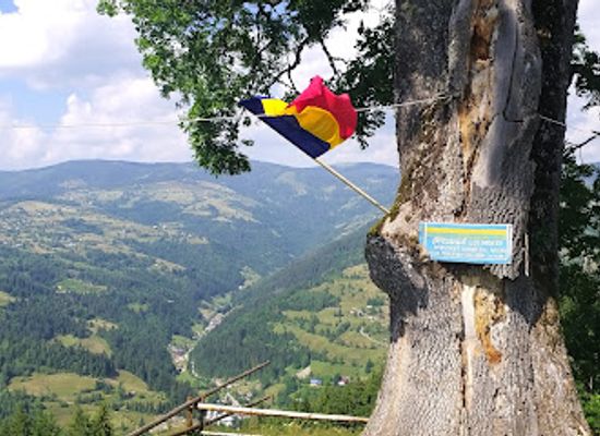 romania/apuseni-mountains/attraction/view-point-frasinul-lui-horea
