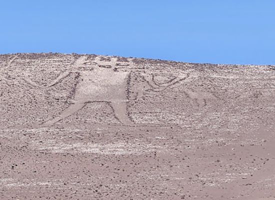 chile/tarapaca-region/attraction/the-tarapaca-giant