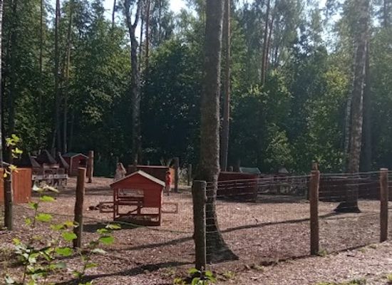 lithuania/anyksciai-treetop-walking-path/attraction/anyksciu-skulpturu-parkas