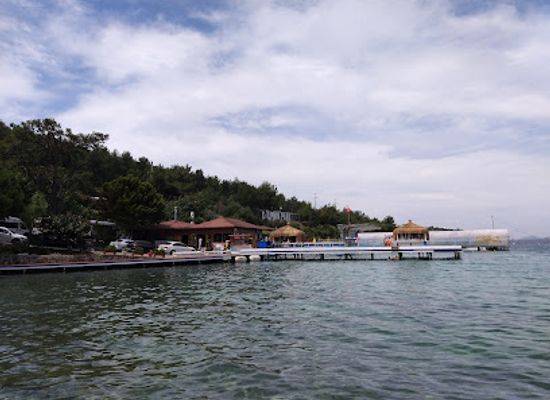 turkiye/black-sea-region/attraction/bodrum-dolphin-park-yunus-gosteri-merkezi