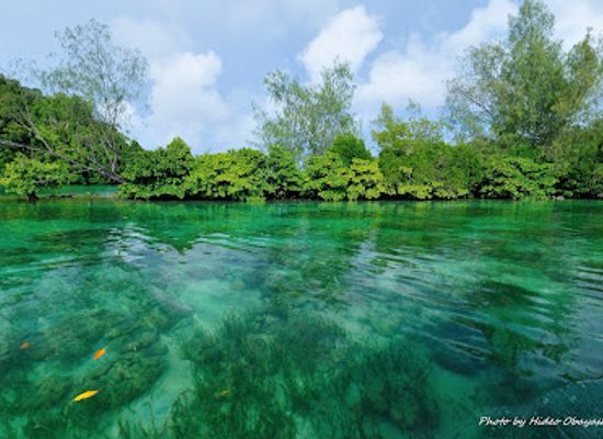 palau/ngaremlengui/attraction/Palau-Matsushima
