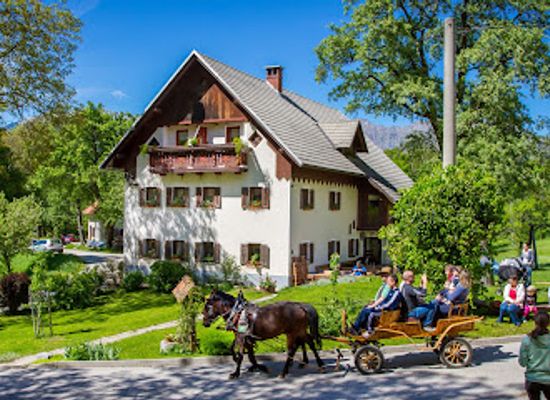 slovenia/littoral/attraction/marija-tusar-nosilka-dopolnilne-dejavnosti-na-kmetiji-turisticna-kmetija-pri-flandru